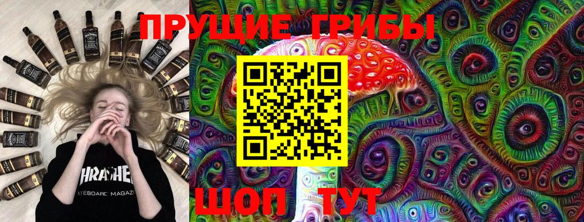 Волгоград  Псилоцибиновые грибы MAGIC MUSHROOMS  Вход с VPN 